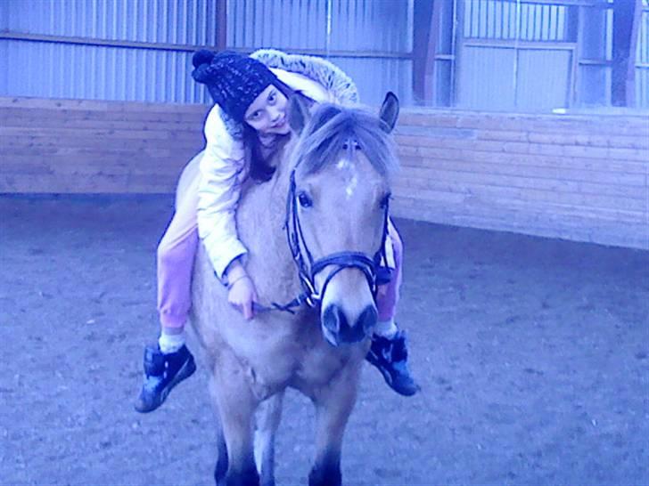 Anden særlig race Sandgårdens Fargo - The perfect match<33 elsker den pony :) selv med brækket arm kan han rides!<33 :) billede 10