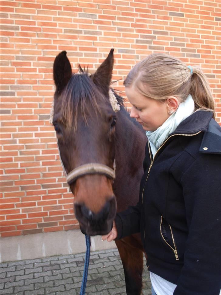 Anden særlig race Wonder SOLGT!d13.12.2009 - Sidste dag med Wonder. JEG SAVNER DIG! :´/ billede 20