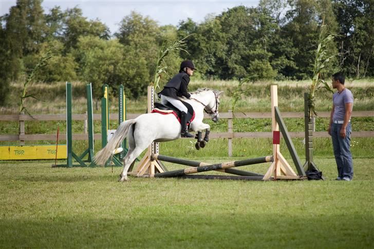 Anden særlig race Perle :*<3 DP:* R.I.P  :( - 12.jeg elsker dig<3 billede 12