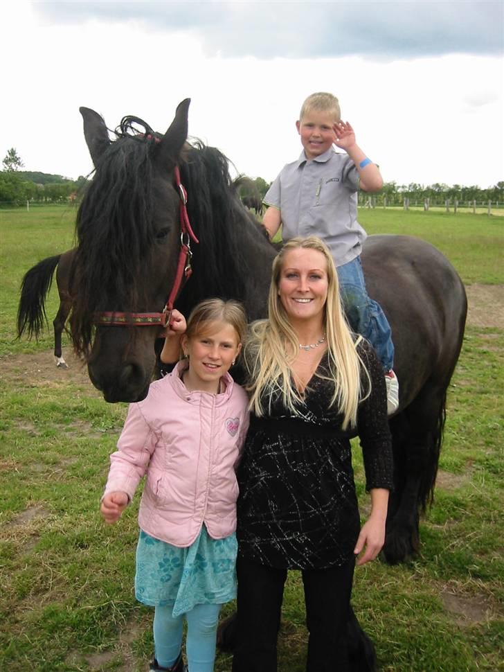 Frieser Otmar ( sorte) billede 2