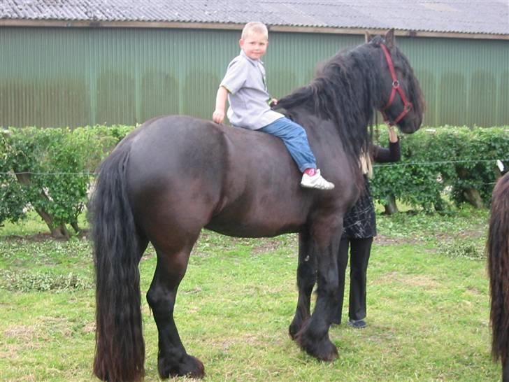 Frieser Otmar ( sorte) billede 3