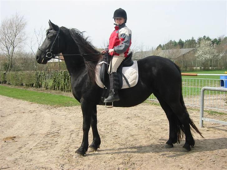 Frieser Tjitske ( Trisse) billede 2