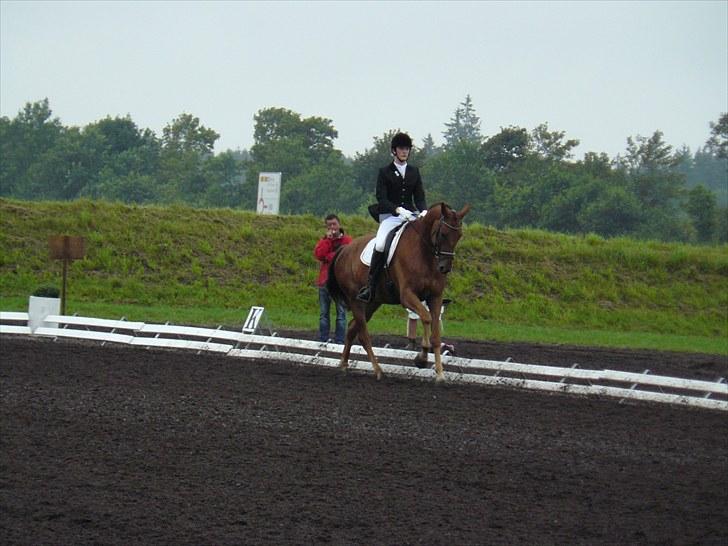 Dansk Varmblod Najaden - Najaden og mig til 4-års DSA i Billund 2010 billede 1