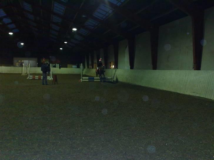 New Forest VMG`s Rødhætte tidl. lånt billede 18