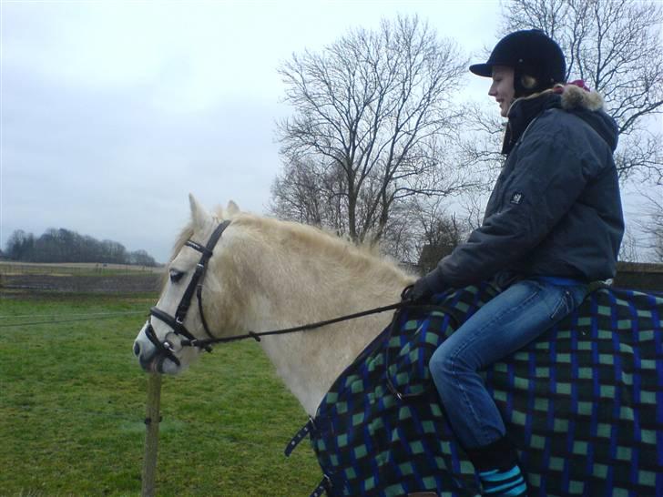 Connemara Sharpen - Her tager min bedste veninder Sabrina lige en tur på Sharpen på banen (: man kan godt se hun er heste rytter på størrelsen :p.  billede 5