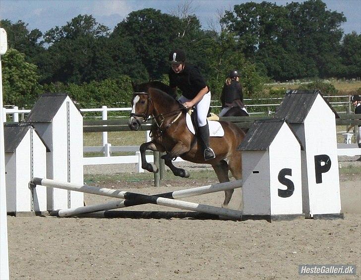 New Forest R.I.P strygers Fergie - fergie og mig der springer ude på LSP :D billede 7