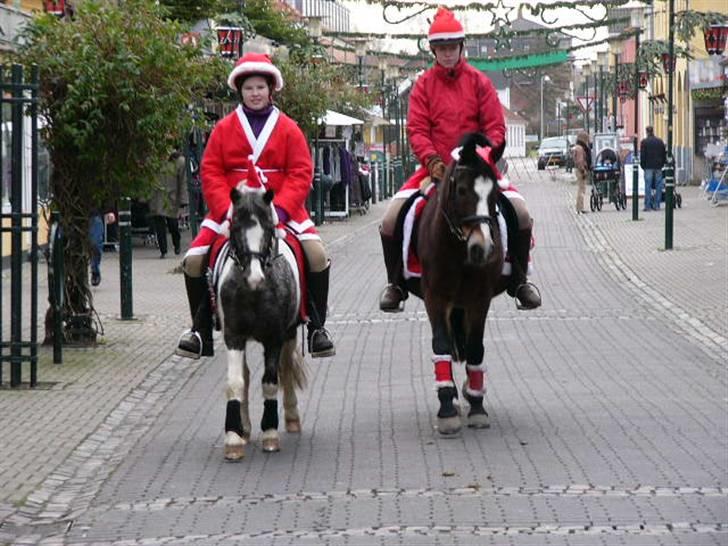 New Forest R.I.P strygers Fergie - fergie oppe i byen med sin bedste ven funny billede 8