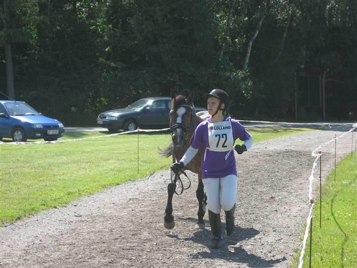 New Forest R.I.P strygers Fergie - christine og fergie til hippaden 2009 billede 10