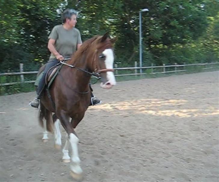 Anden særlig race Sam - Sam og mor i juli 2009 - da var Sam ikke redet så meget :) billede 2