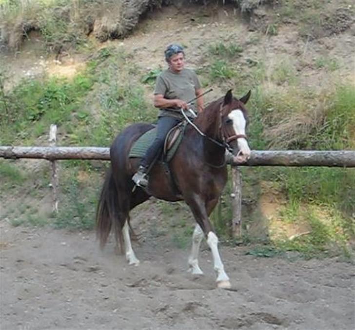 Anden særlig race Sam - Juli 2009 billede 3