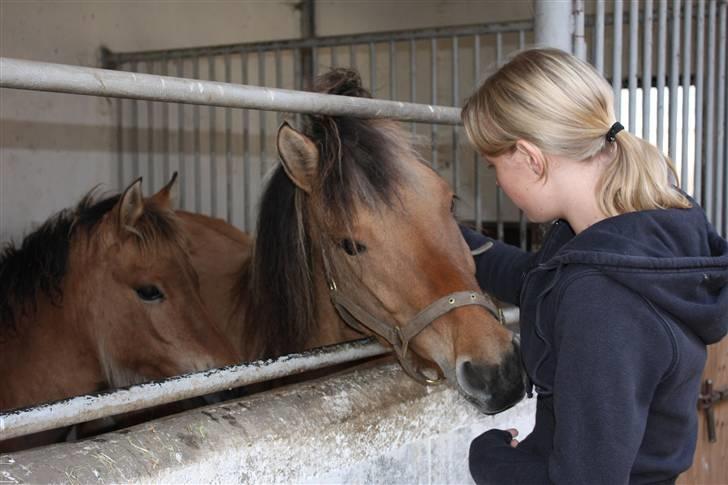 Anden særlig race Bambi - Lille-pigen og mor snakker med Nina. billede 5