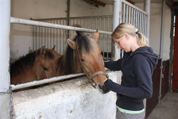 Anden særlig race Bambi - Mor stjæler AL opmærksomheden fra Nina. billede 6