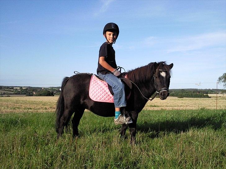 Shetlænder Malina - Thomas og Malina :) billede 17