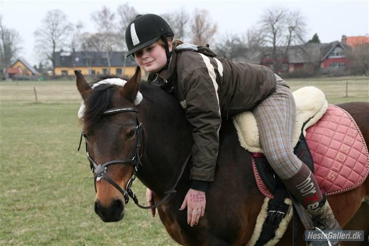 New Forest Florel - hun fortjener en masse ros billede 6