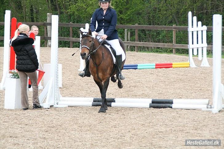 New Forest Florel - HOPLA!! billede 7