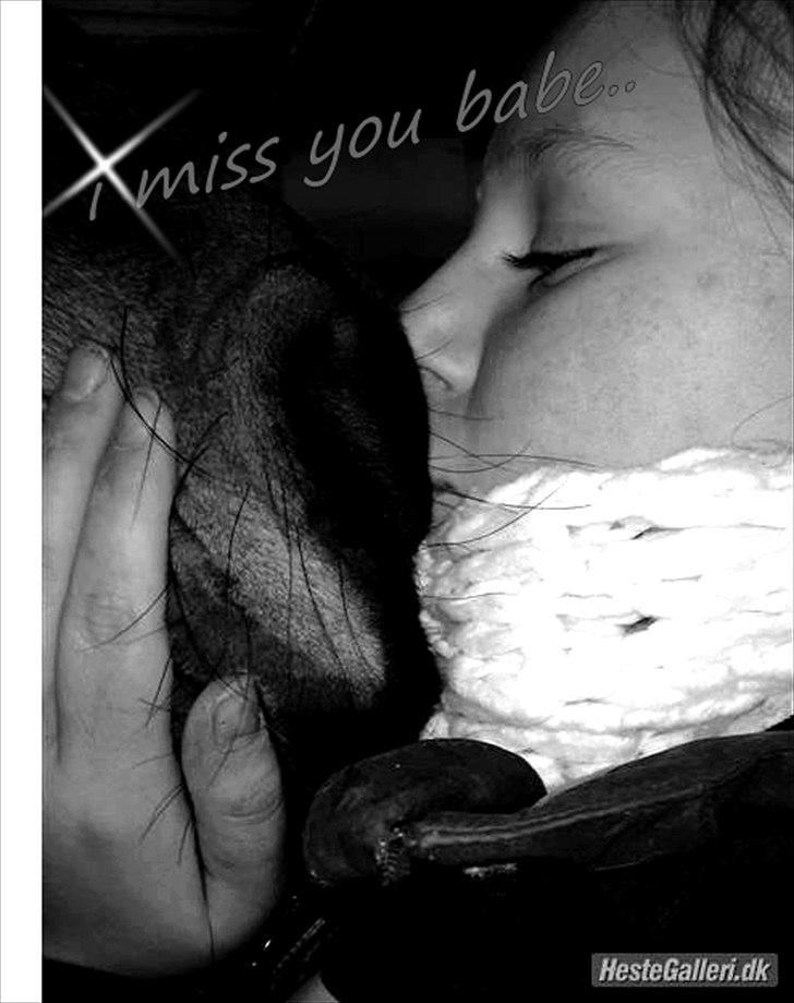 New Forest Florel - jeg savner dig min elskede.... billede 10