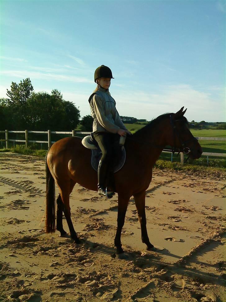 Anden særlig race Wieb *solgt* billede 16