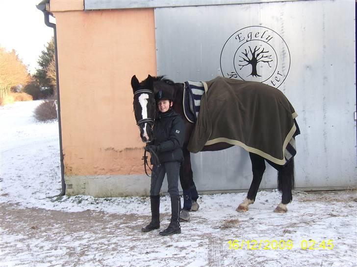 Oldenborg Saskin ( Halvpart) - Velkommen til Saskin`s profil! billede 1