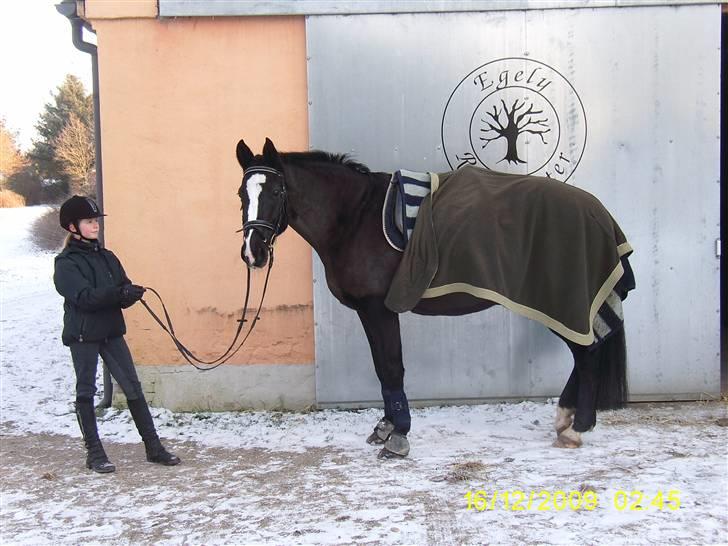 Oldenborg Saskin ( Halvpart) - Et stald billede. billede 2