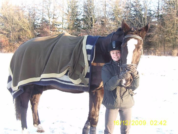 Oldenborg Saskin ( Halvpart) - I love you soo much. billede 4