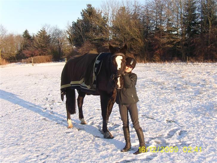 Oldenborg Saskin ( Halvpart) - yes i do XD! billede 5