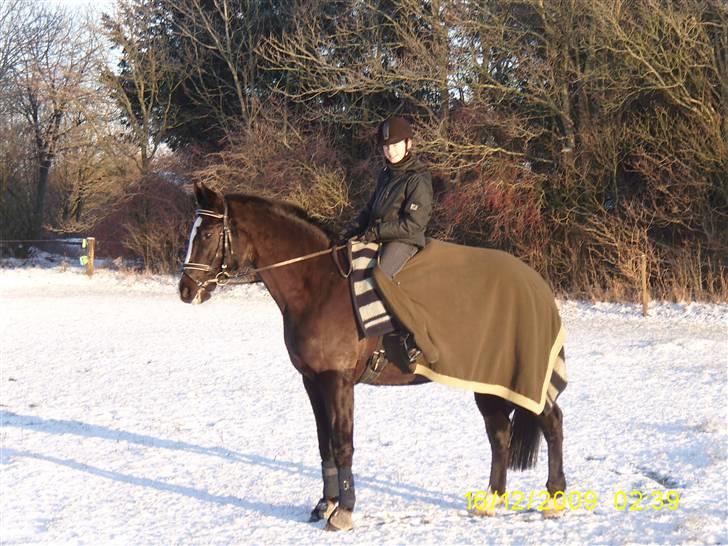 Oldenborg Saskin ( Halvpart) - Saskin kigger på min hund der danser rundt. Hehe<3 billede 7