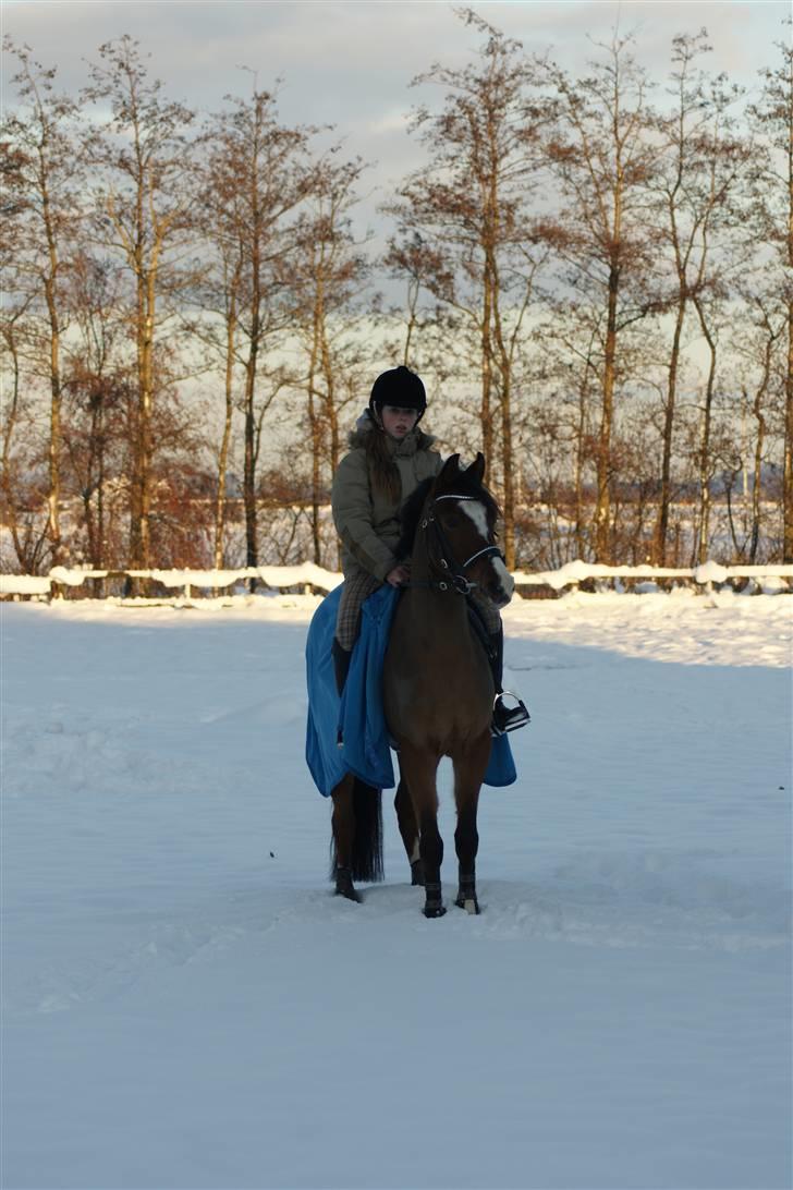 DSP Emilia's Grevenrit  - 15) Mille&mig i sneen 19/12-2009  billede 15