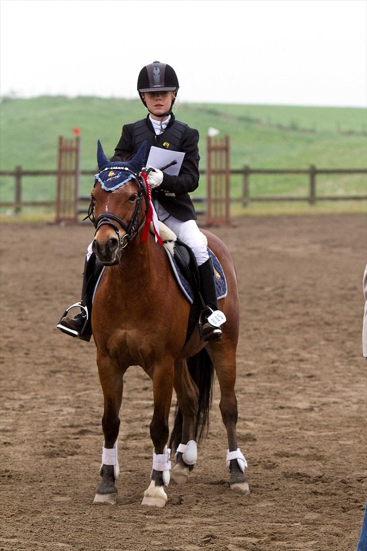 Anden særlig race Laban |*Mit ét og alt<3*| - LD første plads I SYK foto ct.foto<3 billede 16