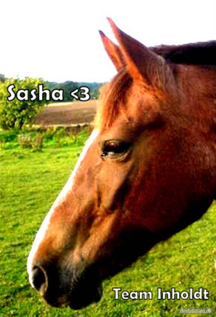 Anden særlig race Sasha - Redigeret billed:) lavet af:RS :D .  tak for billedet billede 11