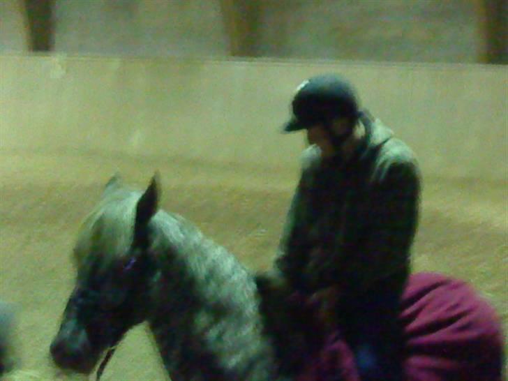 Knabstrupper Søholmgaards Cassiopeia - Undeskylder kvaliteten. Rytter: MArtin :D Fotograf: Mig :D billede 4