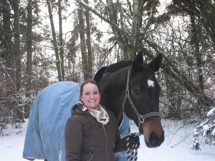 Dansk Varmblod Daylight Rex R.I.P. <3 billede 12