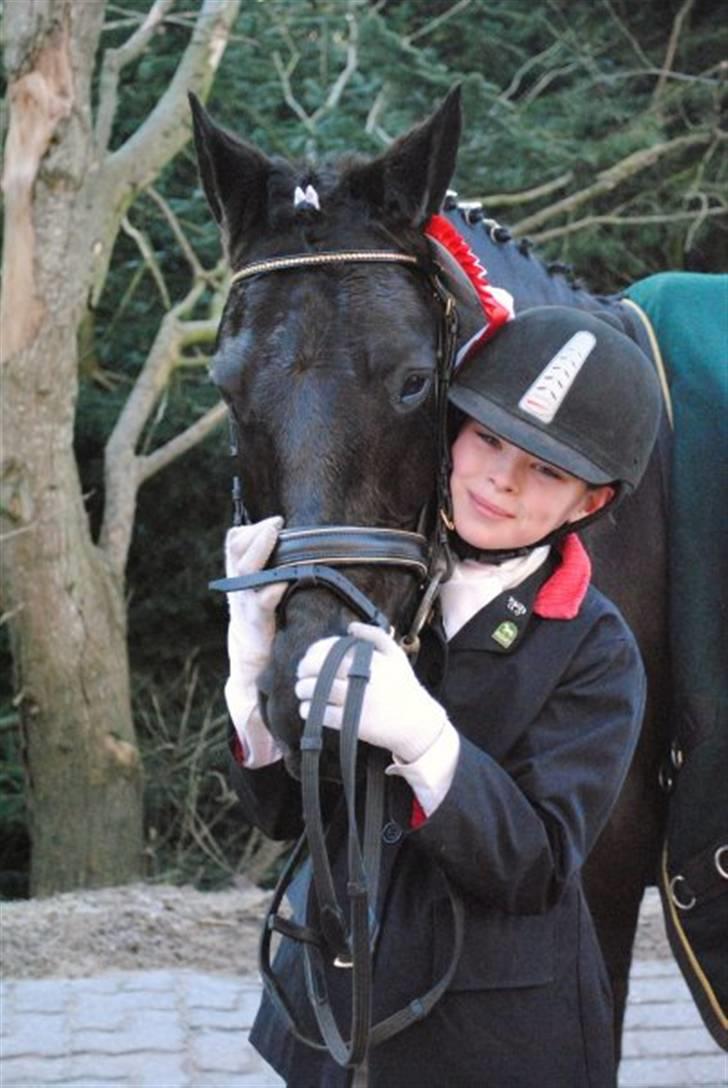 New Forest Sânbuorster Femke*solgt* billede 10