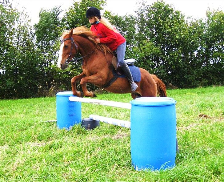 Belgisk Sportspony Winny [Solgt] - 6. Emma på winny, 90cm - d. 18 sep 2010. billede 10