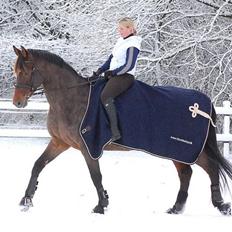 Dansk Varmblod Le cille ( cheri)