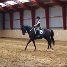 DSP Schermeer´s Hof Anastasia