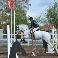 Anden særlig race Rapa Nui<3 "kommet hjem"