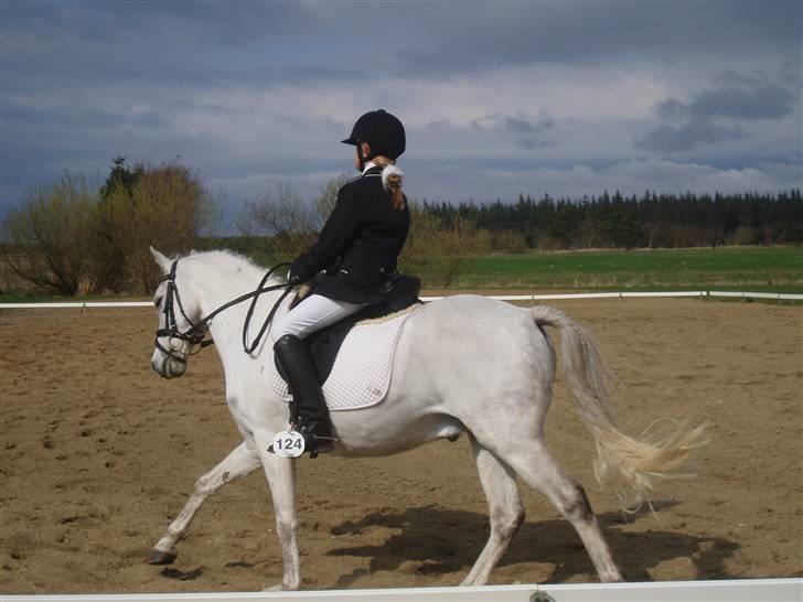 Welsh Pony (sec B) Bohemo Idol (Solgt) - Idol og jeg til stævne i 2006 <´3 nr. 1 i LB1 billede 11