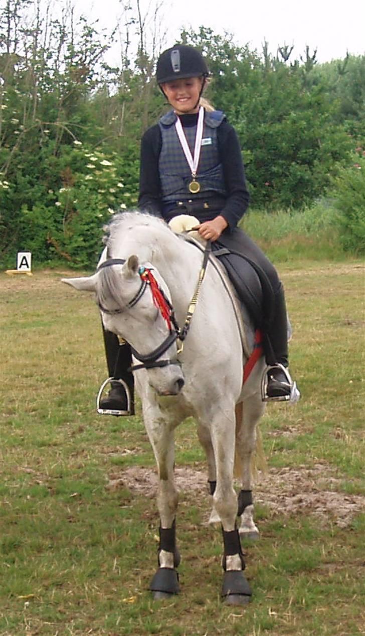 Welsh Pony (sec B) Bohemo Idol (Solgt) - Vinder af første og eneste springklasse, vi nogensinde har redet :) <´3 billede 12