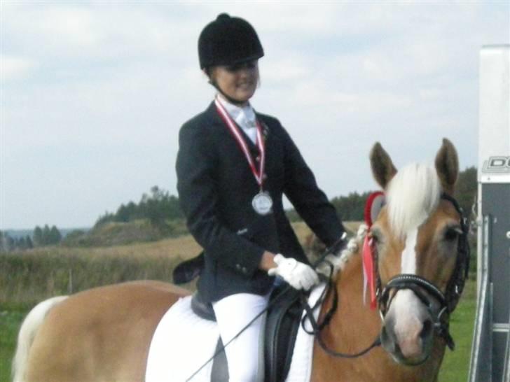 Haflinger Nanok Bravo Lundgaard (B) - Vinder af Nordjysk Haflingermesterskab i LA4 2009 ! <´3 billede 16