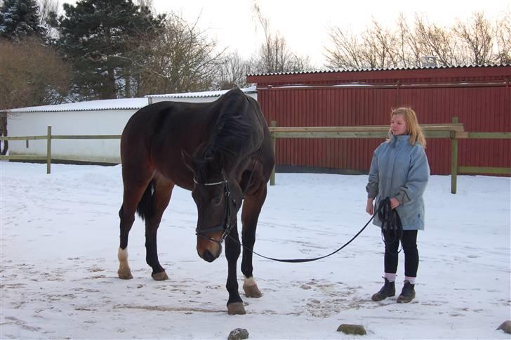 Oldenborg Orion Kikmose - vinter 2009 billede 9