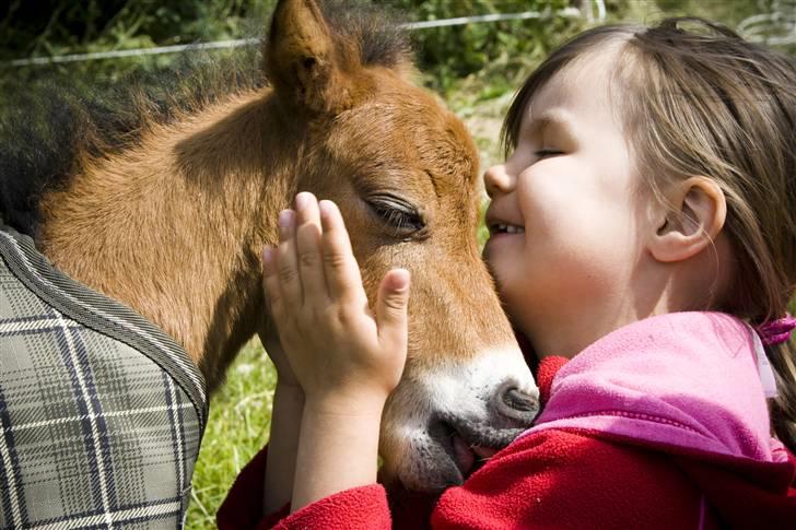 Miniature Elliot billede 1