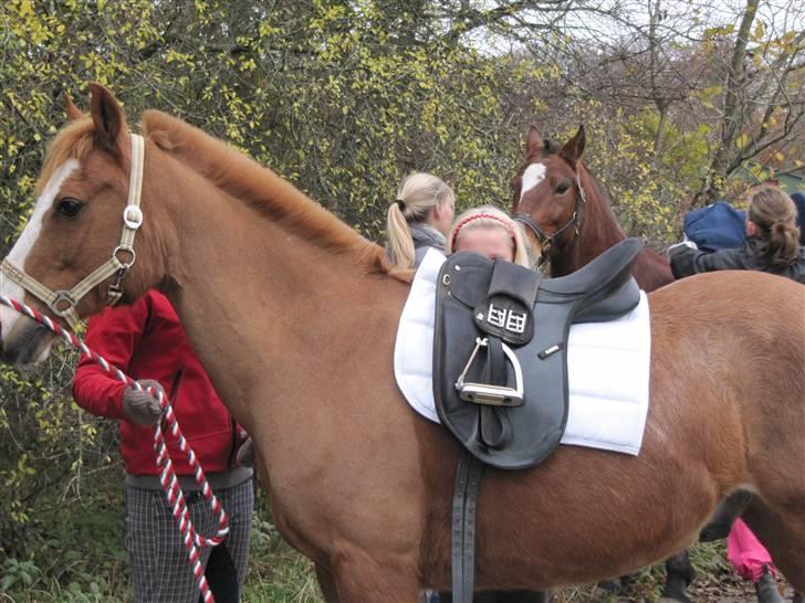 DSP Flipper R.I.P - Stævne vi red til 64/9% billede 2