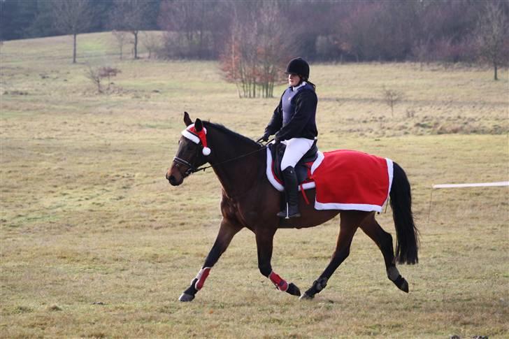 Holstener Kanett / Tulle. - Solgt. billede 11