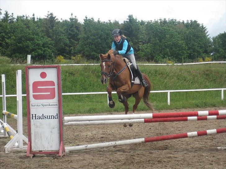 Anden særlig race Moon-Star - weeiii vi flyver :) billede 5