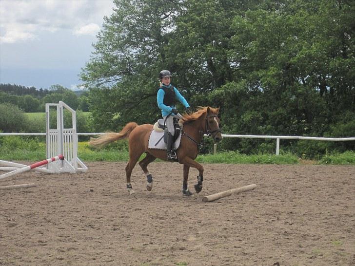 Anden særlig race Moon-Star - ¤Jeg Elsker Dig<3 :*) billede 6