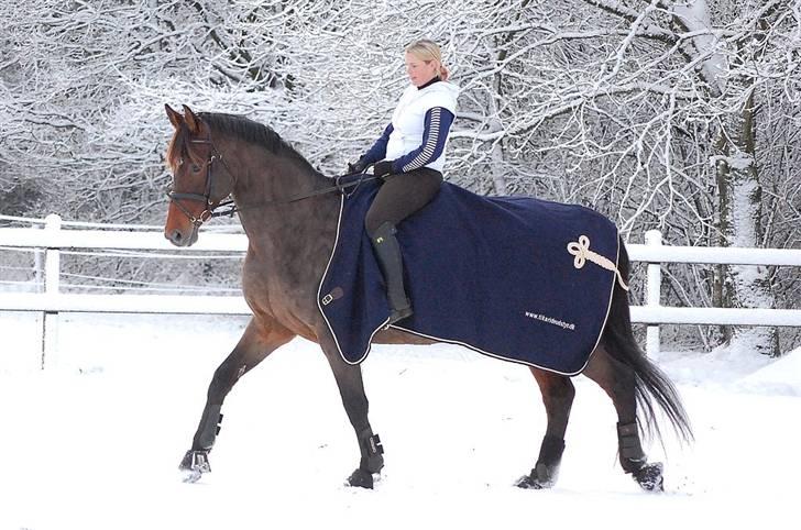 Dansk Varmblod Le cille ( cheri) - første gang vi rider i sne, det gik super godt billede 1