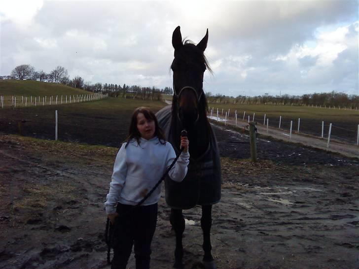 Traver over the gate billede 15