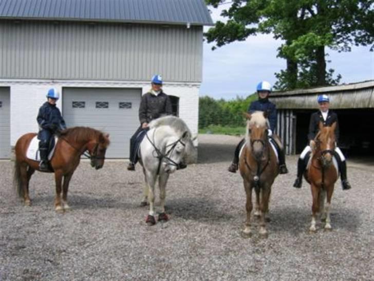 Anden særlig race Isa - Katrine/Futte, Charlotte/Felix, Nanna/Anita og mig/Isa <3 billede 14