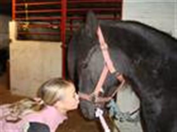 Anden særlig race Prinsesse Ibeline [tidligere part] - bedste billede - elsker dig<3 fotograf: Carola Tak;D billede 1