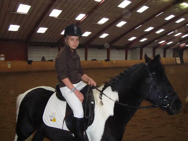 Anden særlig race Prinsesse Ibeline [tidligere part] - stævne.. fotograf: Far ;D billede 2